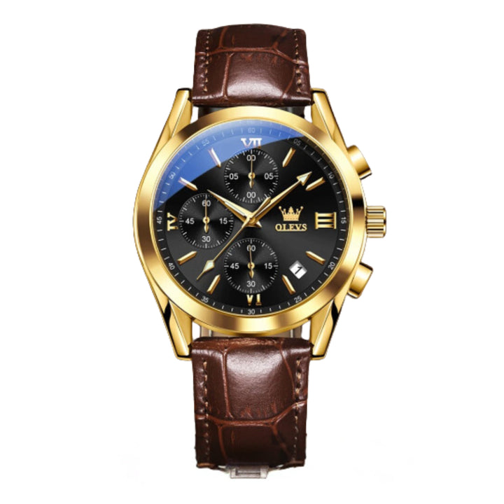 Renley's Luminous Sporty Chronograph Wrist Watch