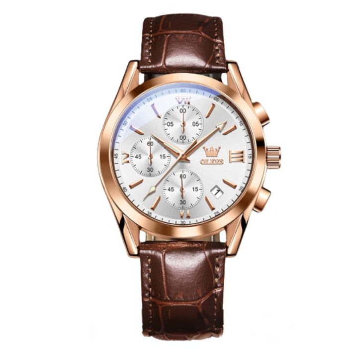 Renley's Luminous Sporty Chronograph Wrist Watch