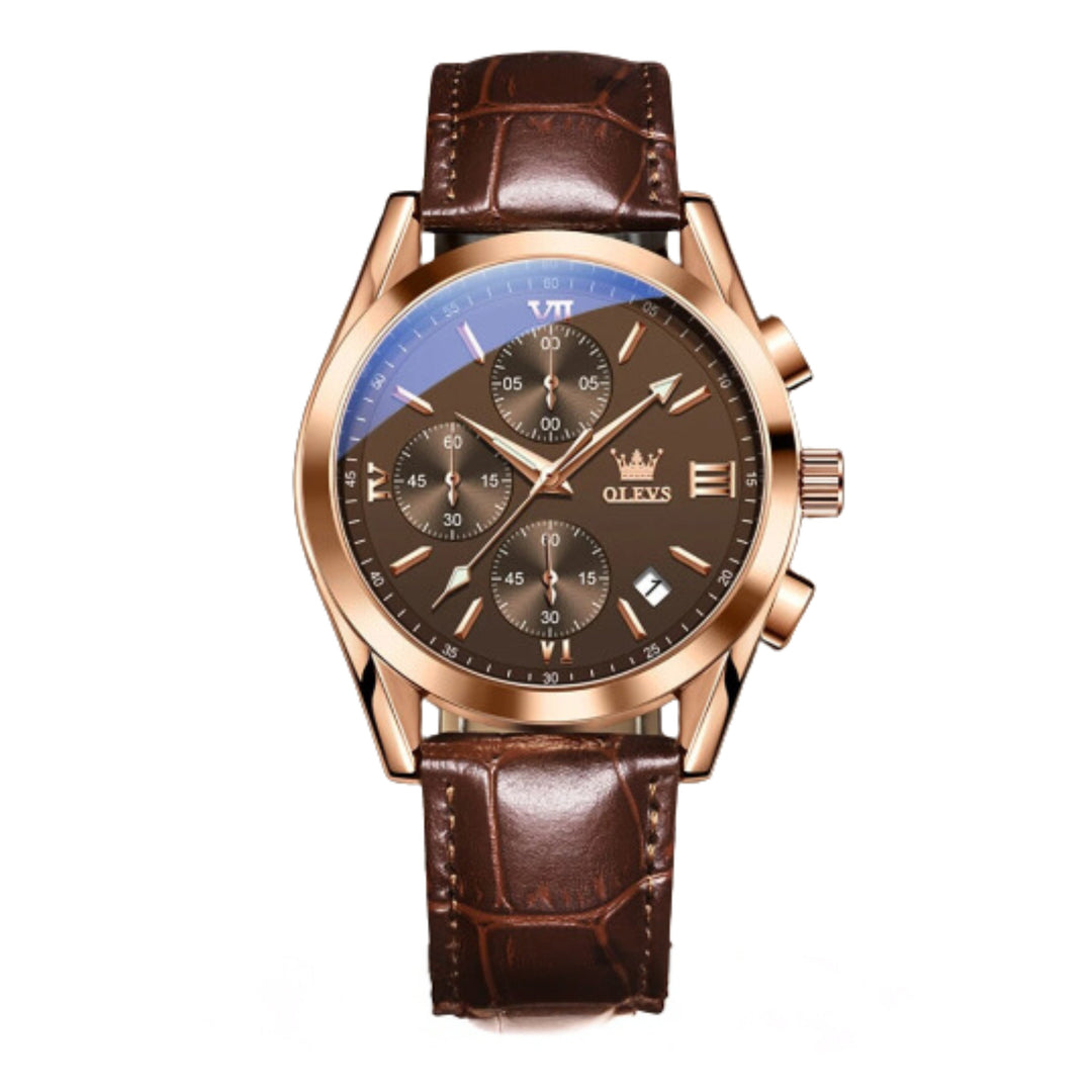 Renley's Luminous Sporty Chronograph Wrist Watch